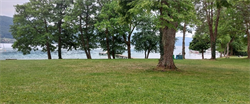 eine Rasenfläche mit Bäumen und einem Gewässer im Hintergrund