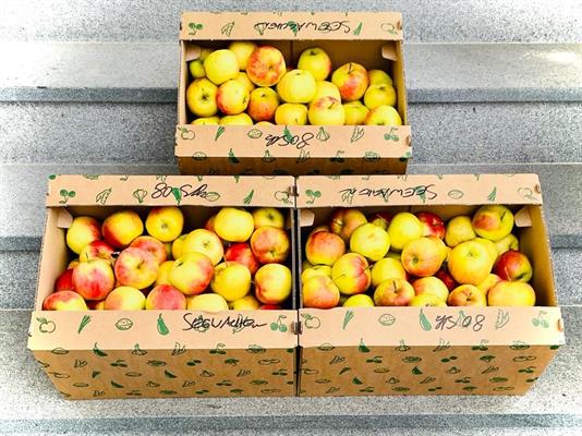 Schachteln voller  Äpfel